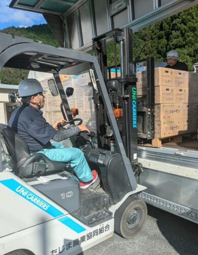  トラックの荷台にピーマンを積み込む読宣運輸のドライバー（兵庫県豊岡市で）